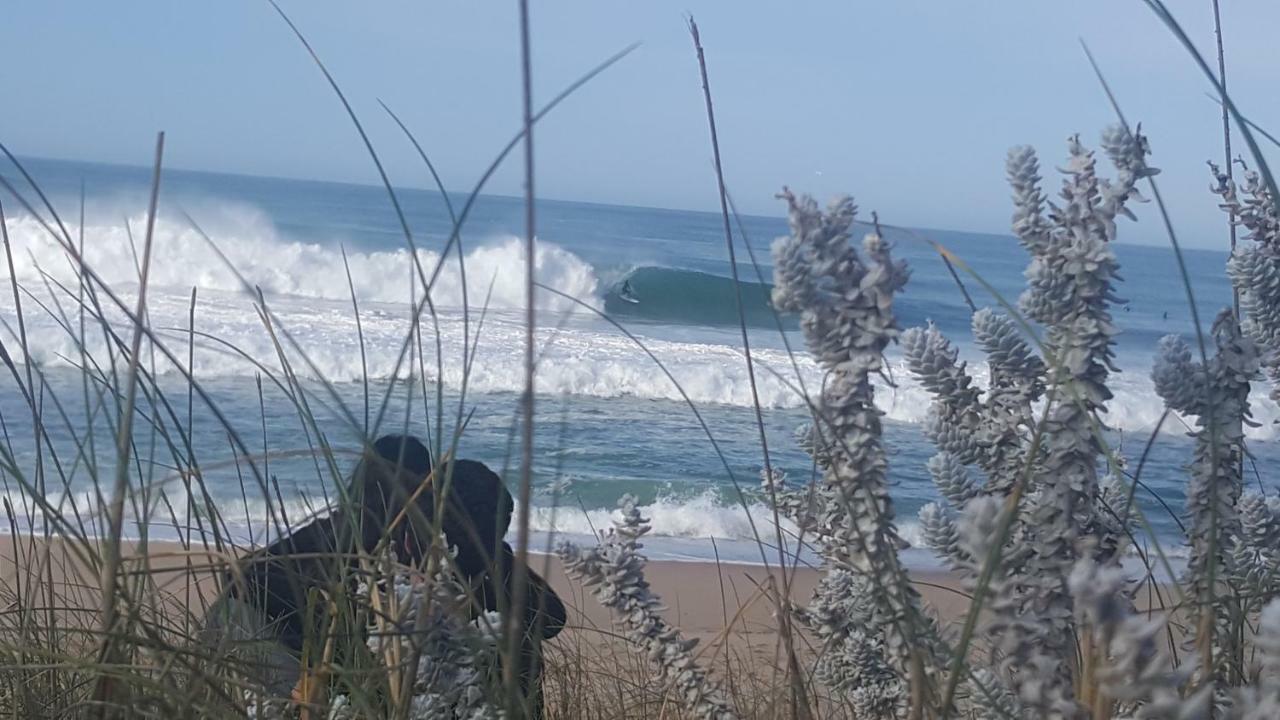 Pineapple Surf House Vandrerhjem Atouguia Da Baleia Eksteriør bilde